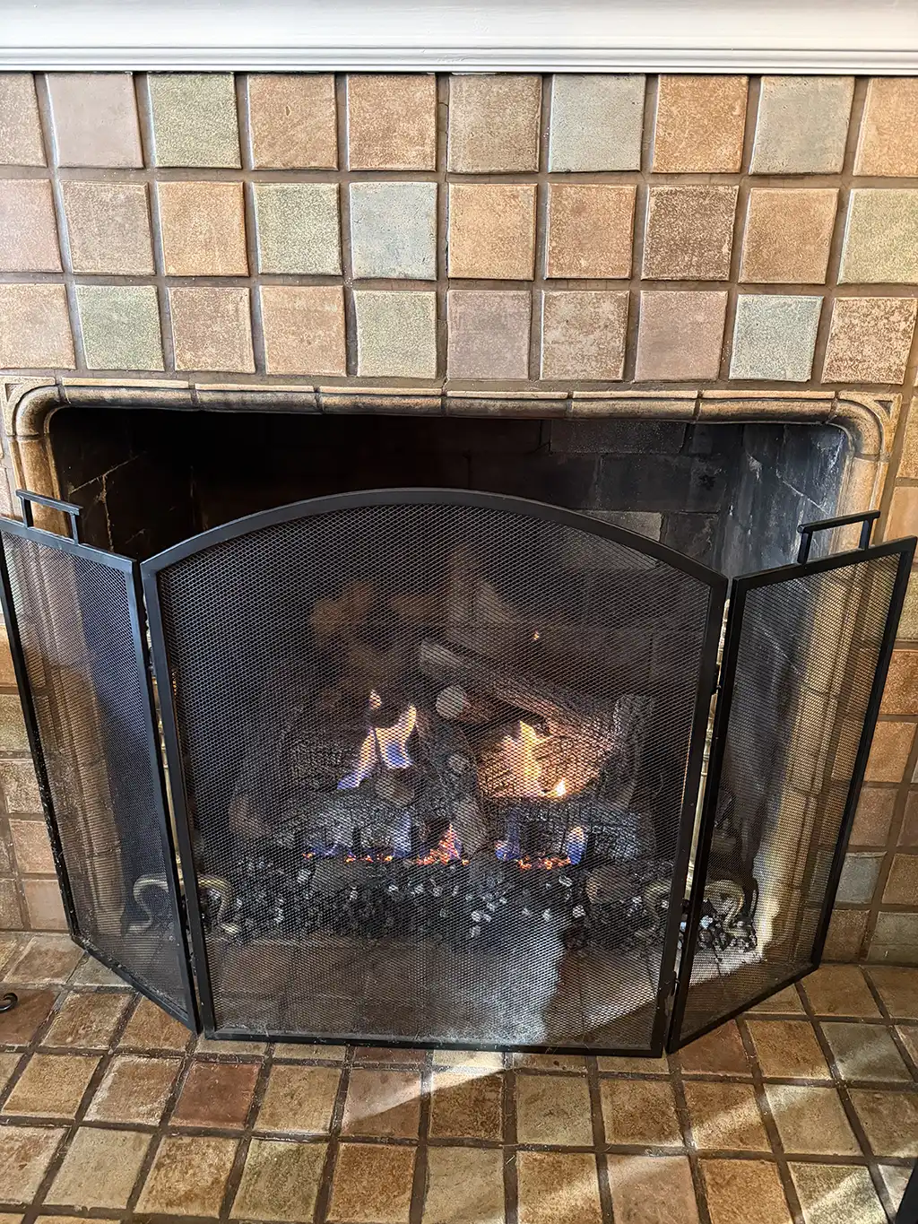 Fireplace with screen